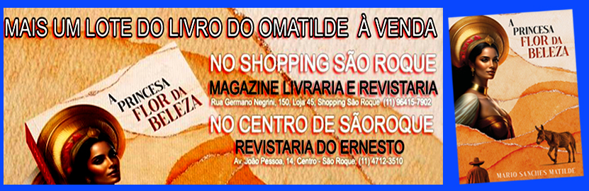 LIVRO A PRINCESA VENDA