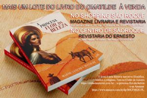 MAIS UM LOTE DO LIVRO DO OMATILDE  VENDA 